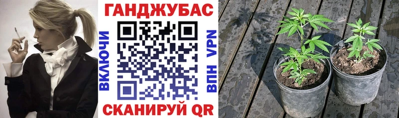 Сколько стоит Белебей Бошки Шишки  Галлюциногенные грибы  Гашиш  MDMA  Меф 