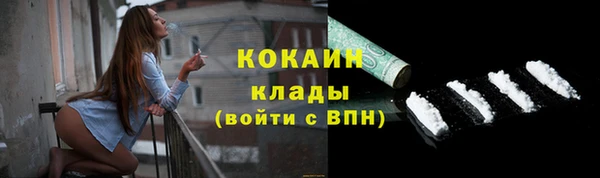 прущие грибы Покровск