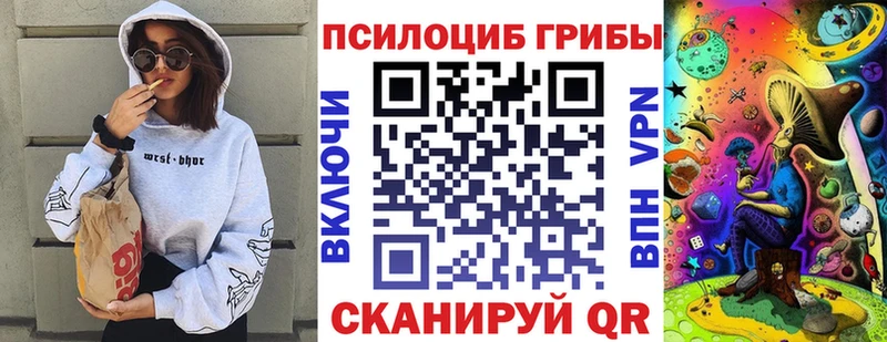 блэк спрут онион  Белебей  Псилоцибиновые грибы MAGIC MUSHROOMS 