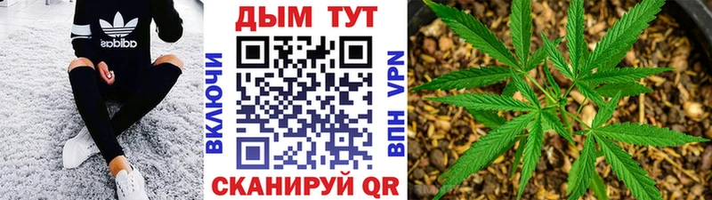 Конопля Bruce Banner  Белебей 
